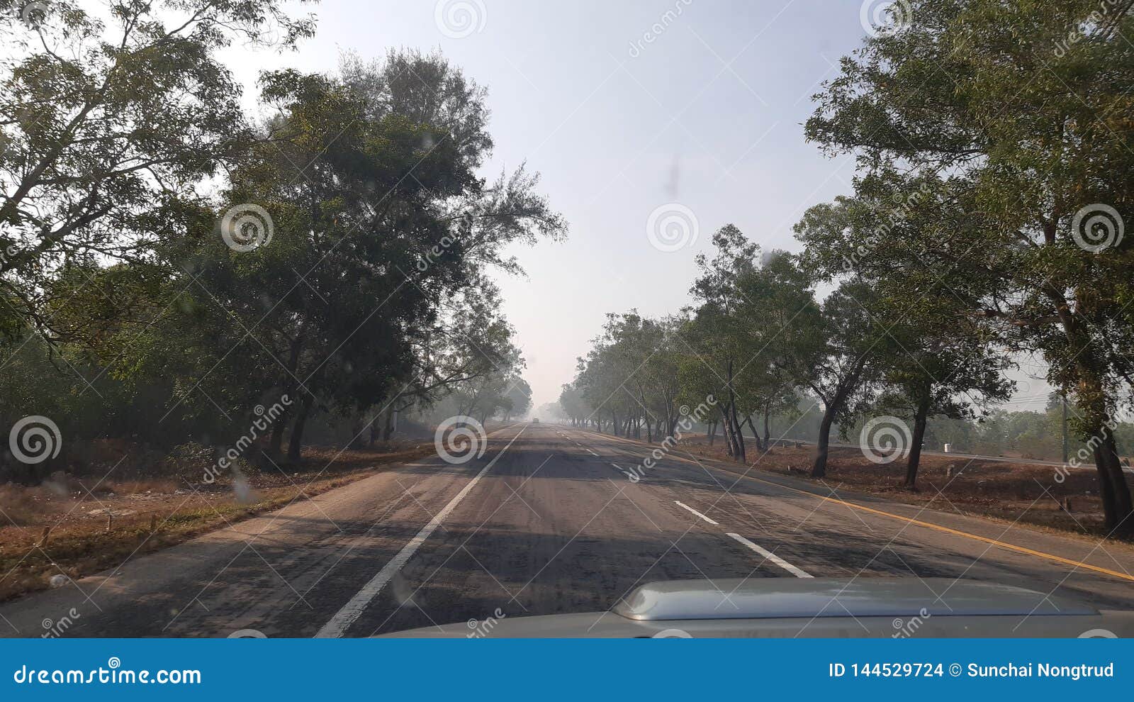 Smog road stock photo. Image of tree, smog, highway 144529724