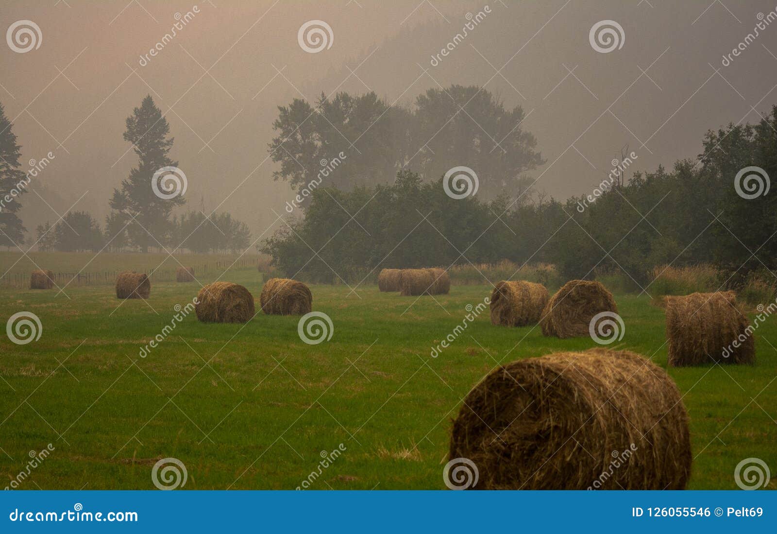 Фото Пожары Внутри