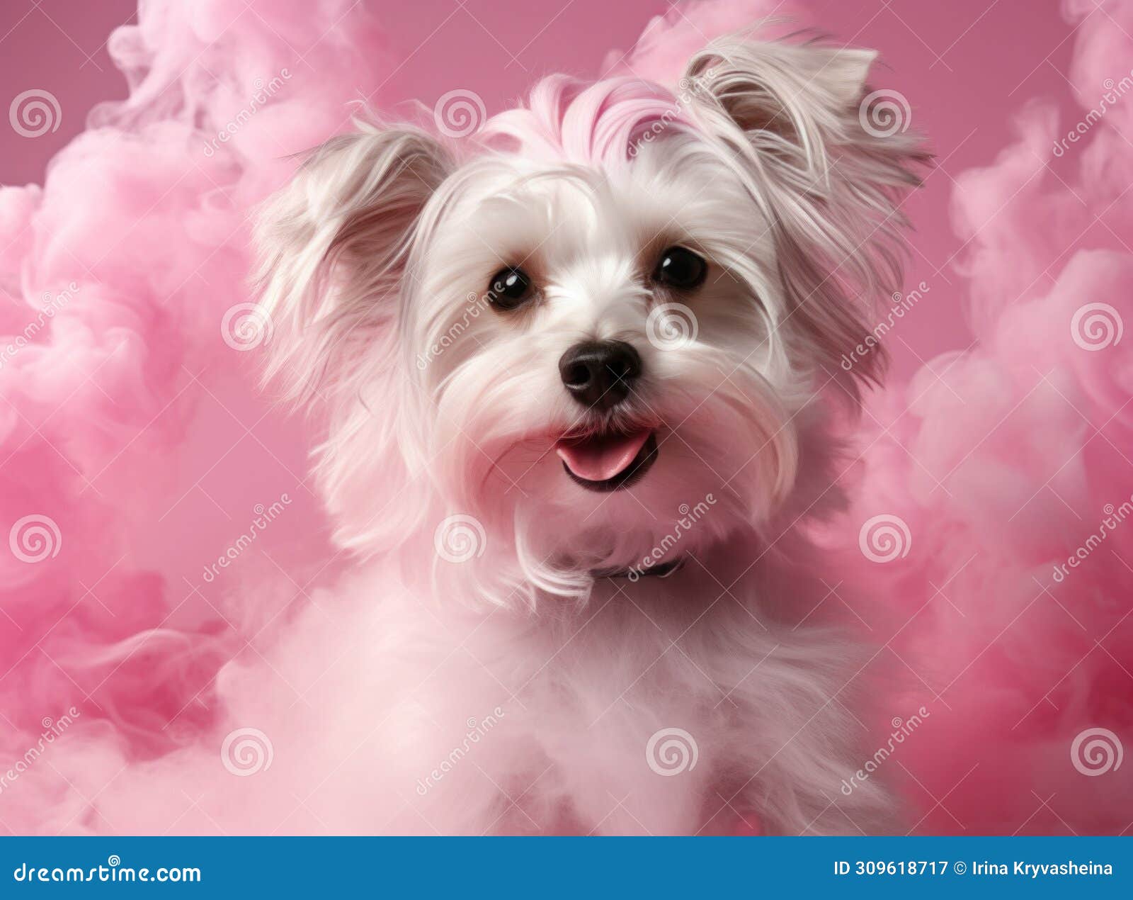 a smokable dog on pink background