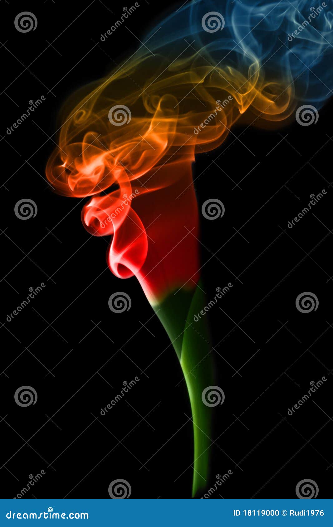 Smoke flower stock photo. Image of plant, nature, beautiful 18119000
