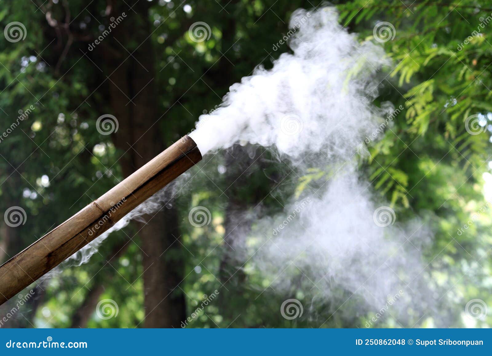 Smoke fly from bamboo stock photo. Image of energy, design 250862048