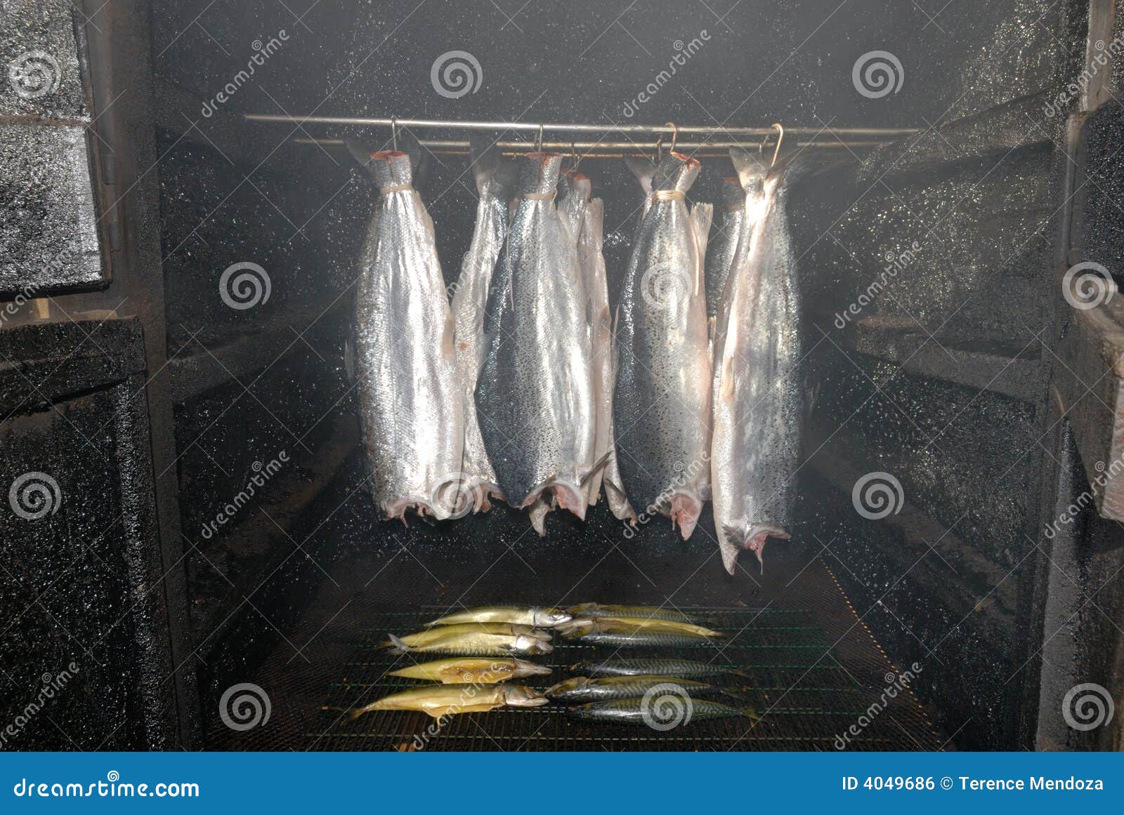 Smoke Room Smoking Salmon Stock Photo Image of fish, salmon 4049686