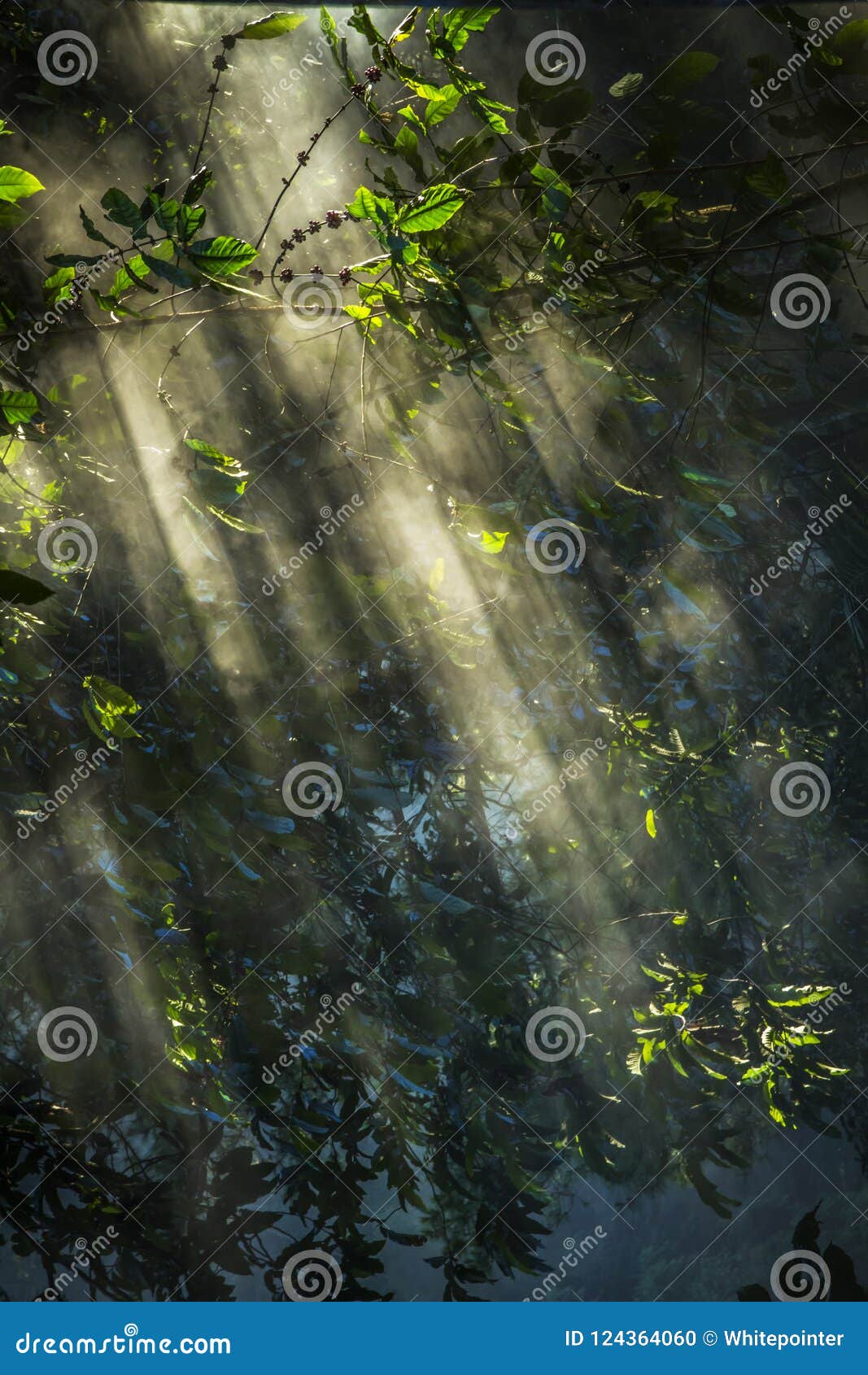 Smoke on Sunray Create a Nice Straight Line View Stock Photo Image of