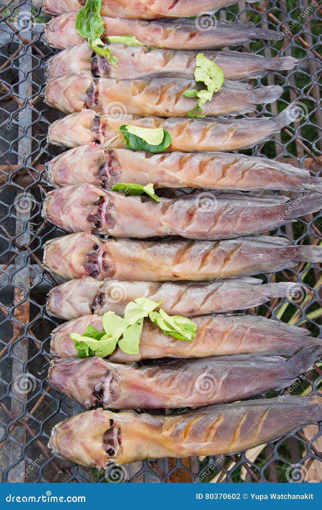 Smoked catfish on grill stock photo. Image of color, fish 80370602