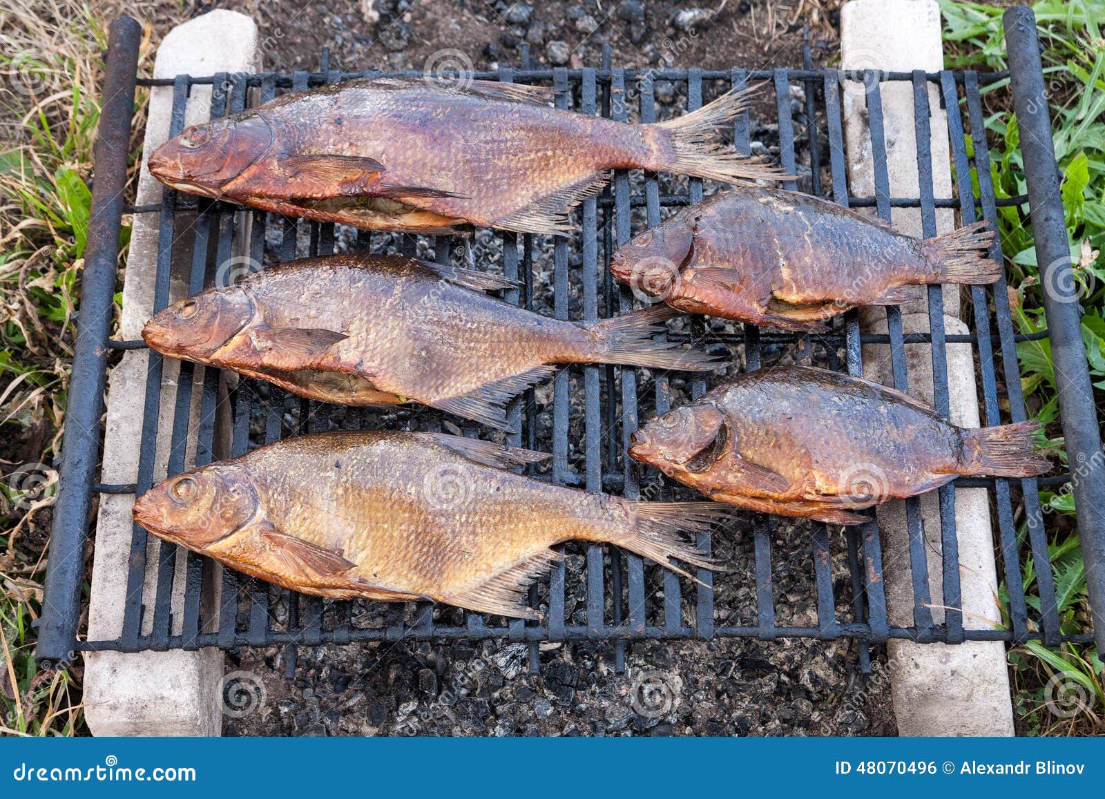 Smoked Fish Just Caught in Freshwater River Stock Photo Image of meaty, gold 48070496