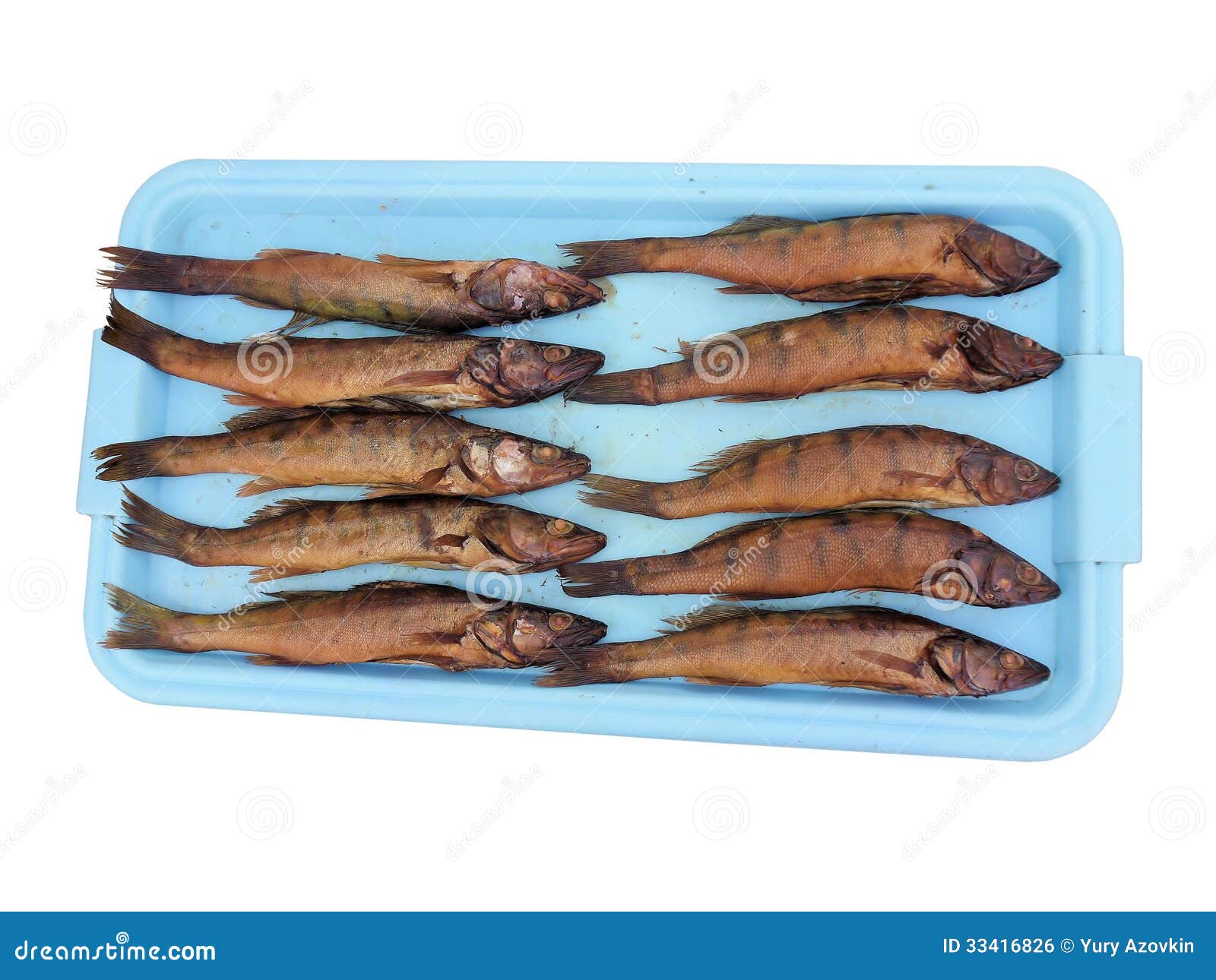 Smoked fish on a tray stock photo. Image of smoked, fishtail - 33416826