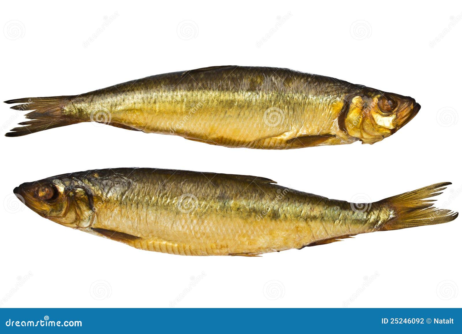 Smoked herring stock photo. Image of nourishing, clupea 25246092