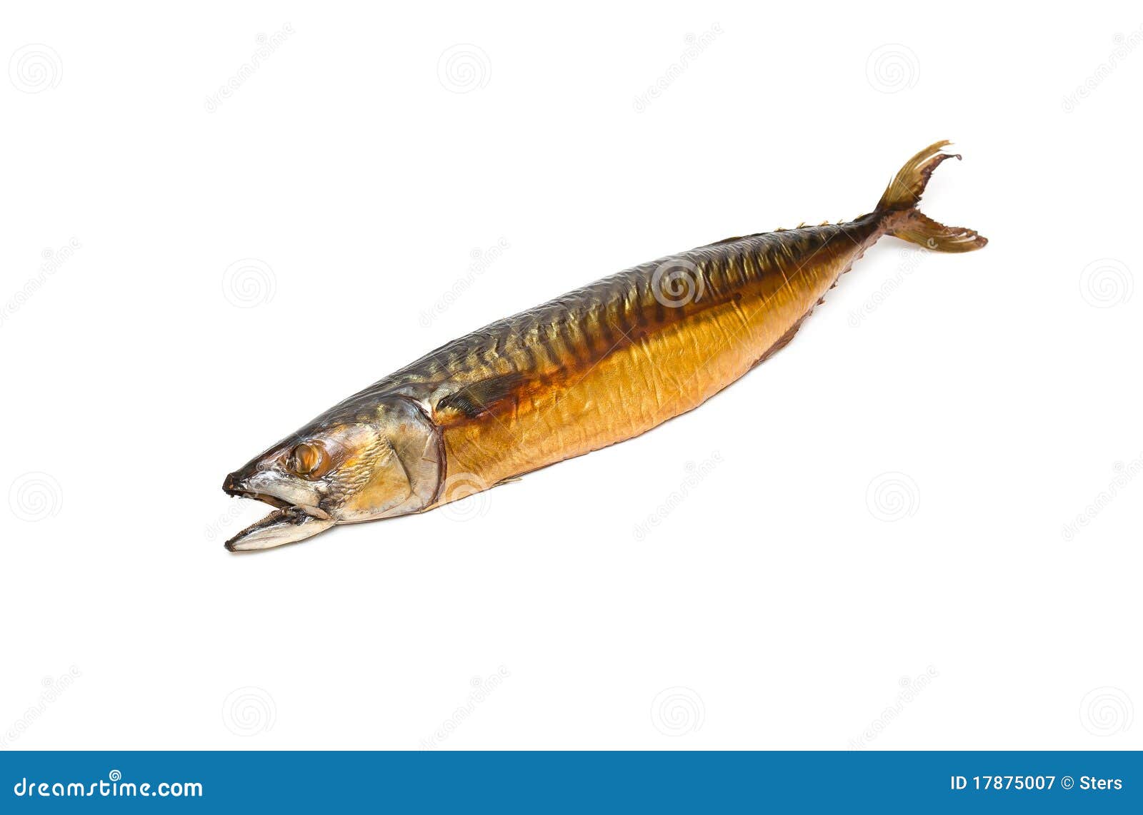 Smoked mackerel stock image. Image of mouth, animal, refreshment 17875007