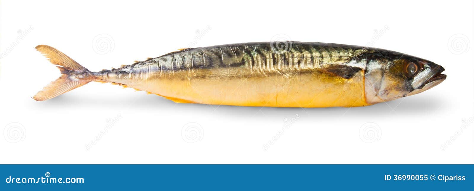 The Smoked Mackerel stock image. Image of kipper, food 36990055