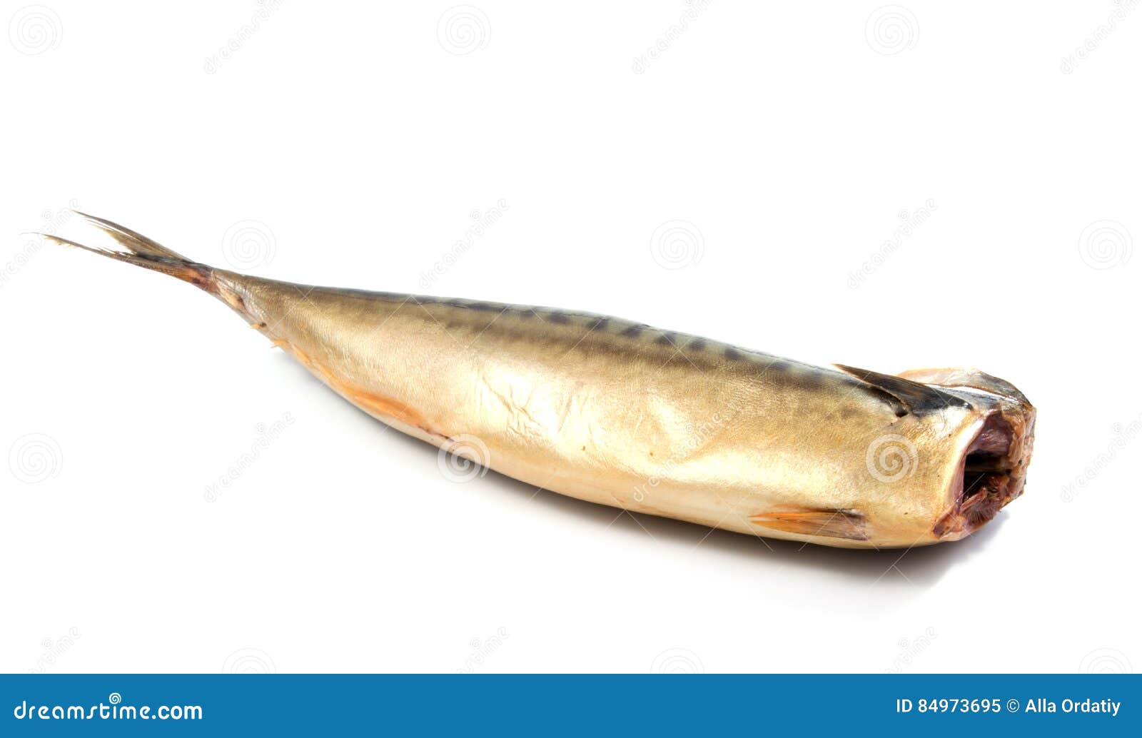 Smoked Mackerel Isolated on White Stock Image Image of mackerel, animal 84973695