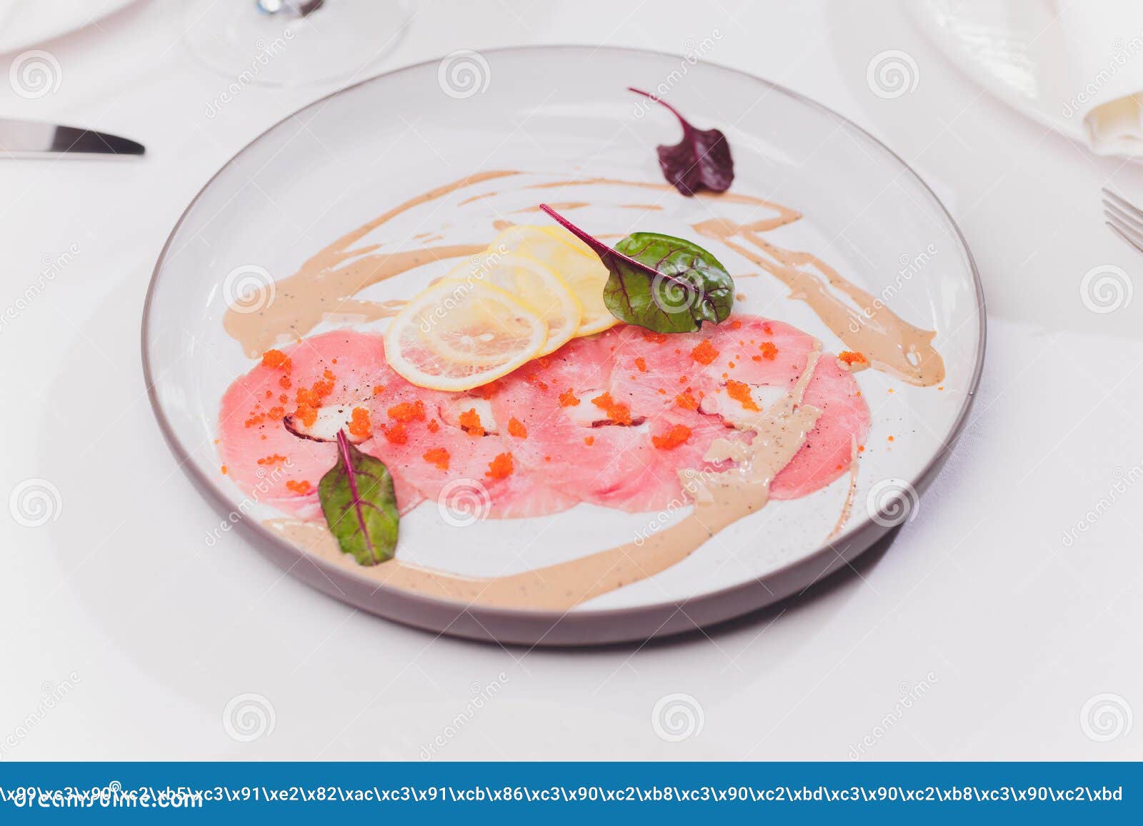 Smoked Salmon and Ingredients in Plate on Table. Stock Photo Image of marined, salmon 181078442
