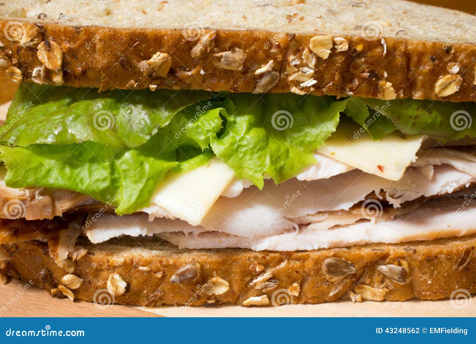 Smoked Turkey Sandwich stock photo. Image of coldcut 43248562