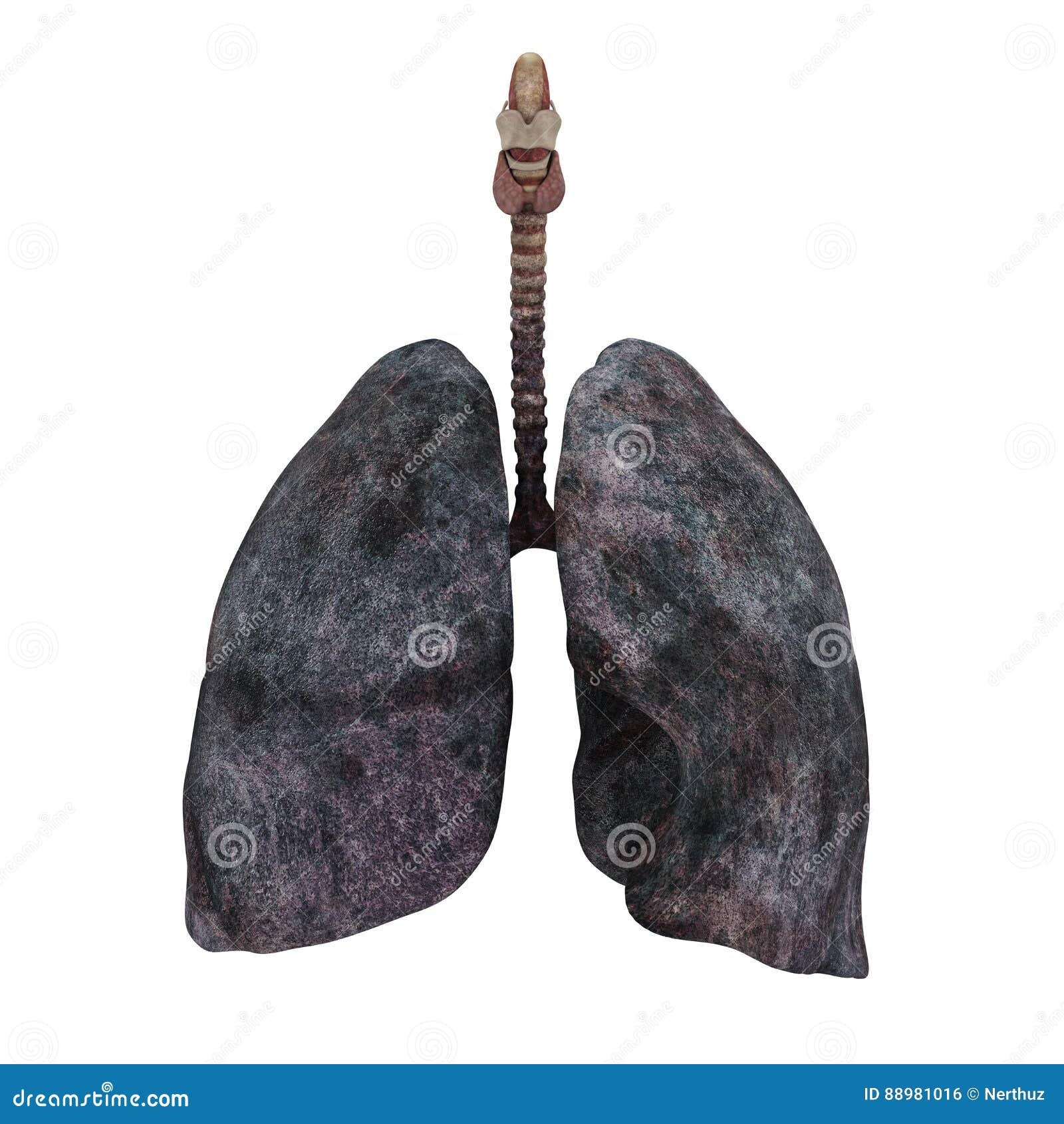 Illustration, Smokers Lungs, Nausea And Vomiting, Feeling Sick