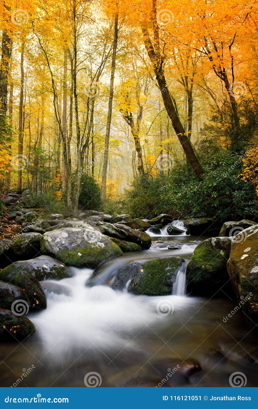 smokey mountains national in the fall