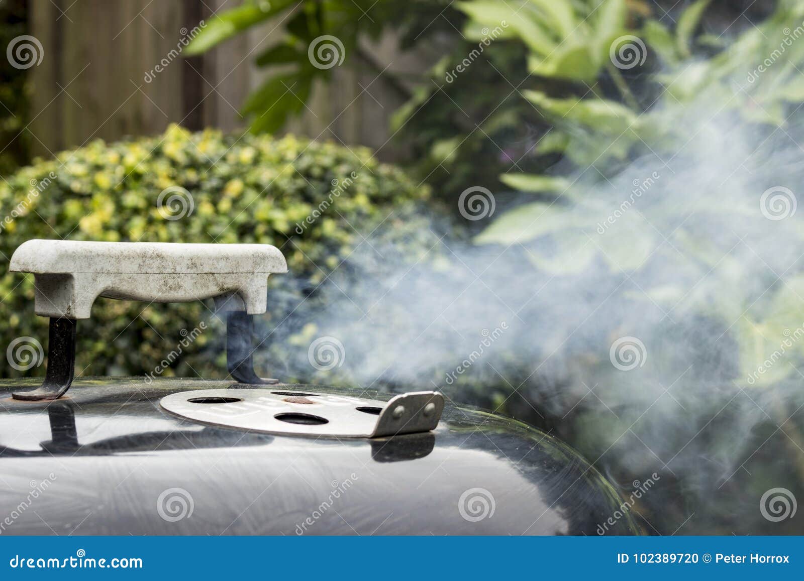 Smoking BBQ grill stock photo. Image of party, outdoor 102389720