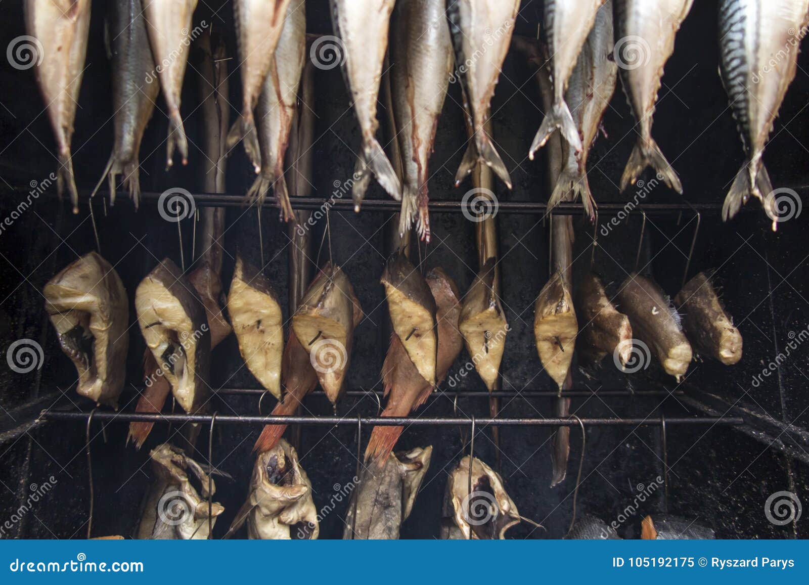 Smoking fish on hooks stock image. Image of chamber 105192175