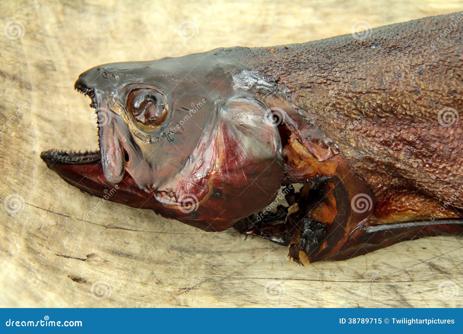 Smoking fish stock image. Image of salmo, fish, head 38789715