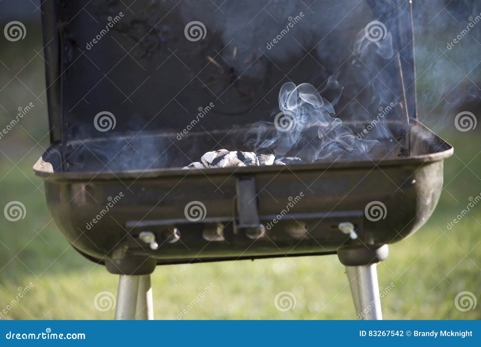 Smoking Grill stock photo. Image of dinner, heater, cooking 83267542