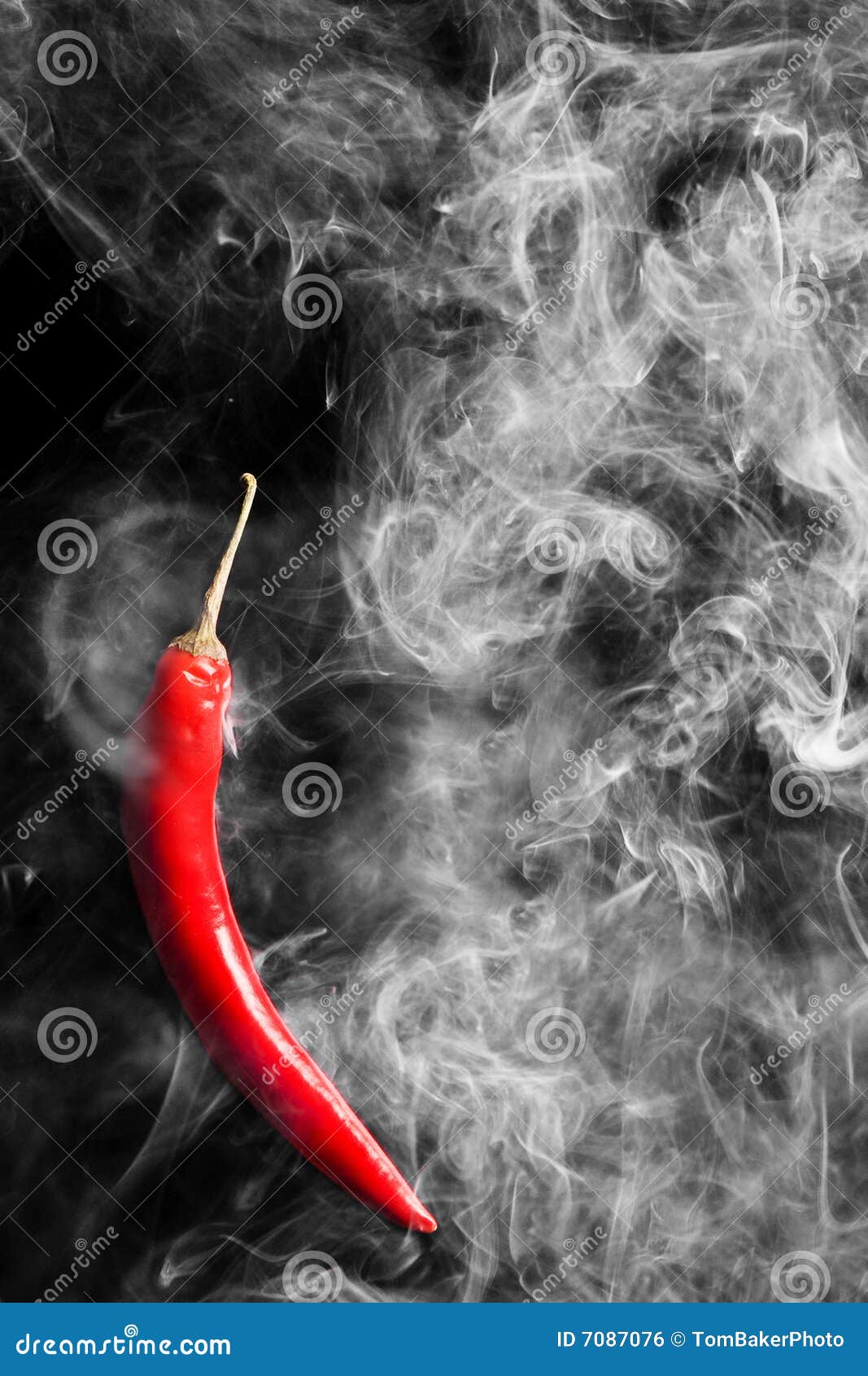 Smoking Jalapeno stock photo. Image of burn, spice, food 7087076