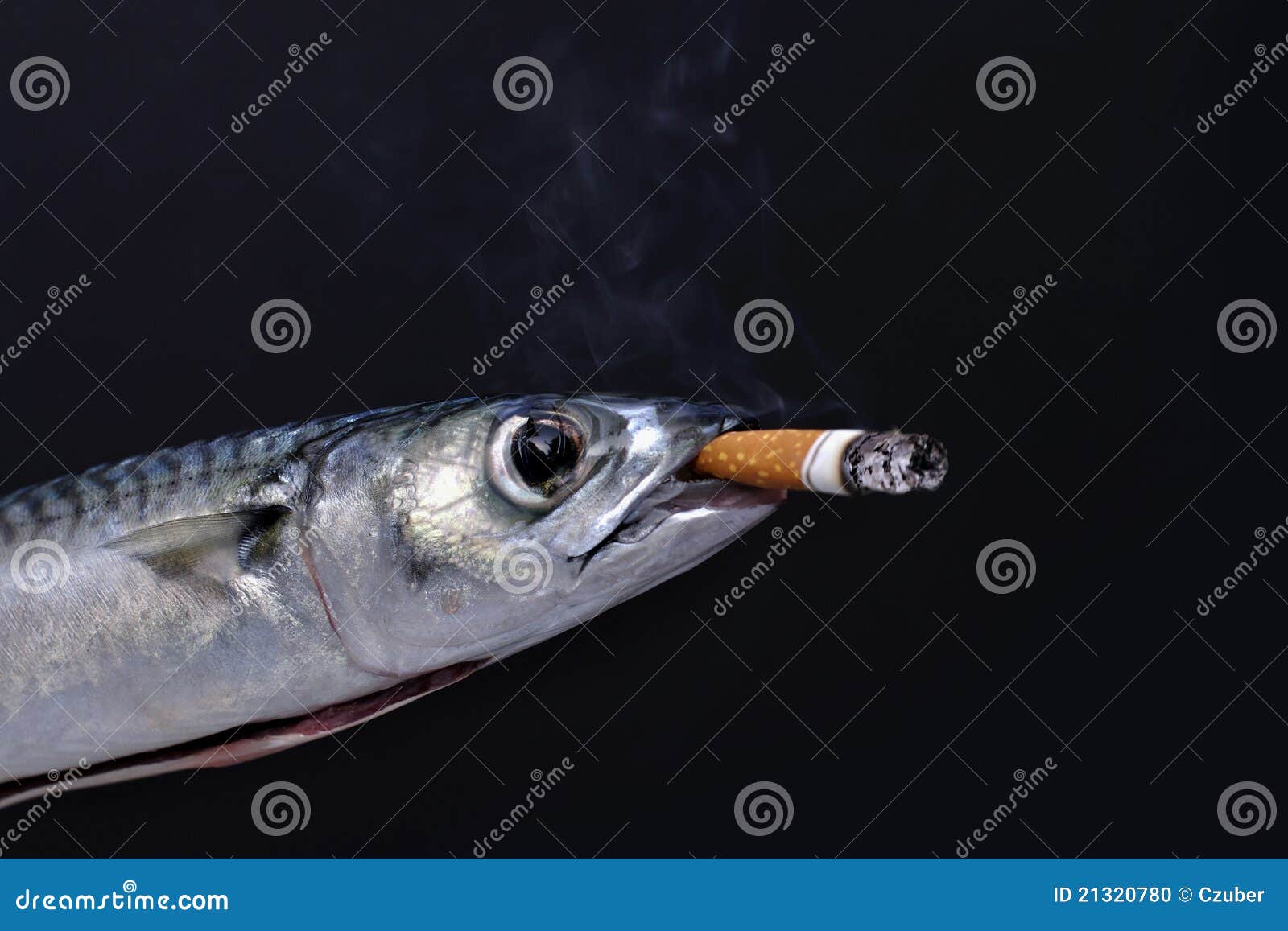 Smoking mackerel stock photo. Image of background, horizontal 21320780