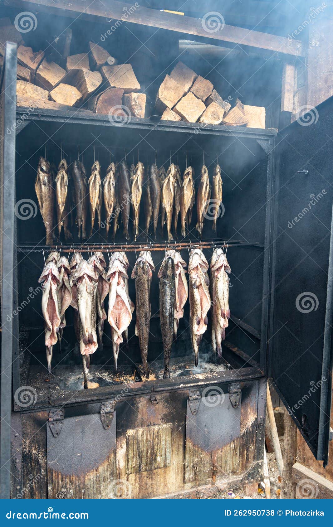 Smoking Rainbow Trout Fish in a Smoker.Trout Hanging in Wire Hooks