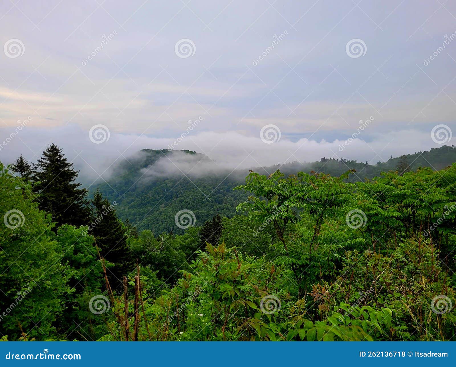 Smoky mountain range USA stock photo. Image of landscape 262136718