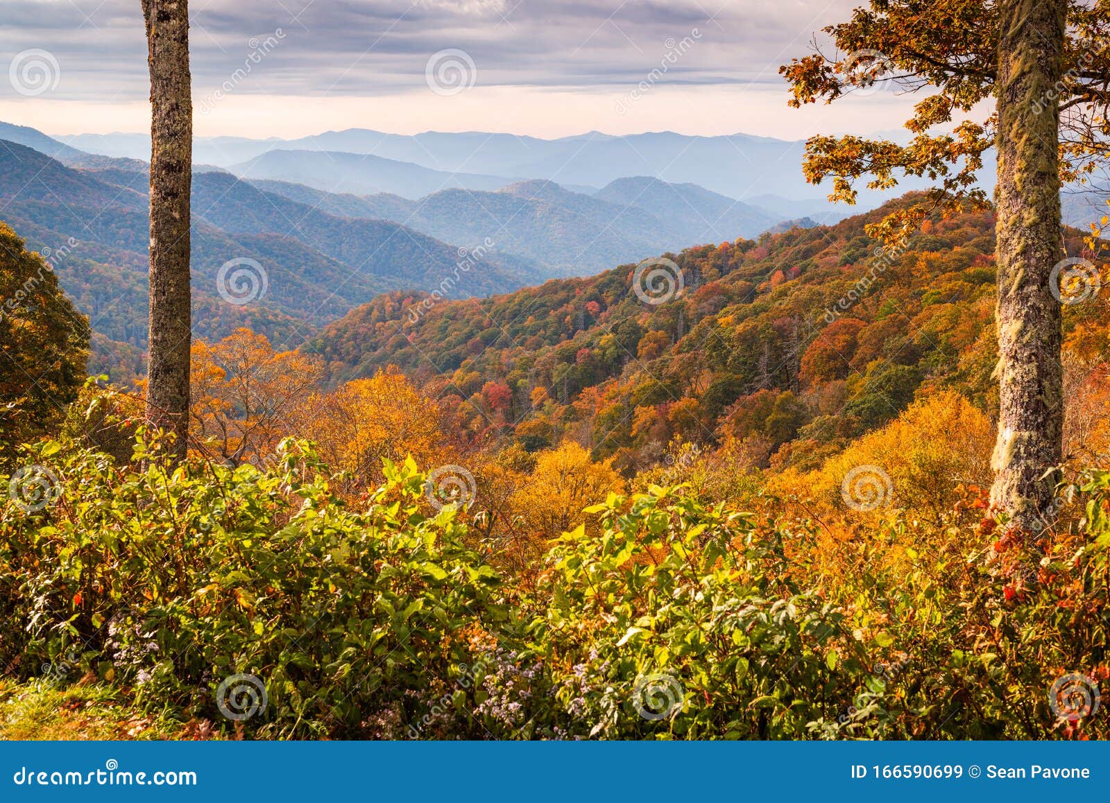 smoky mountains national park, tennessee autumn landscape at newfound gap
