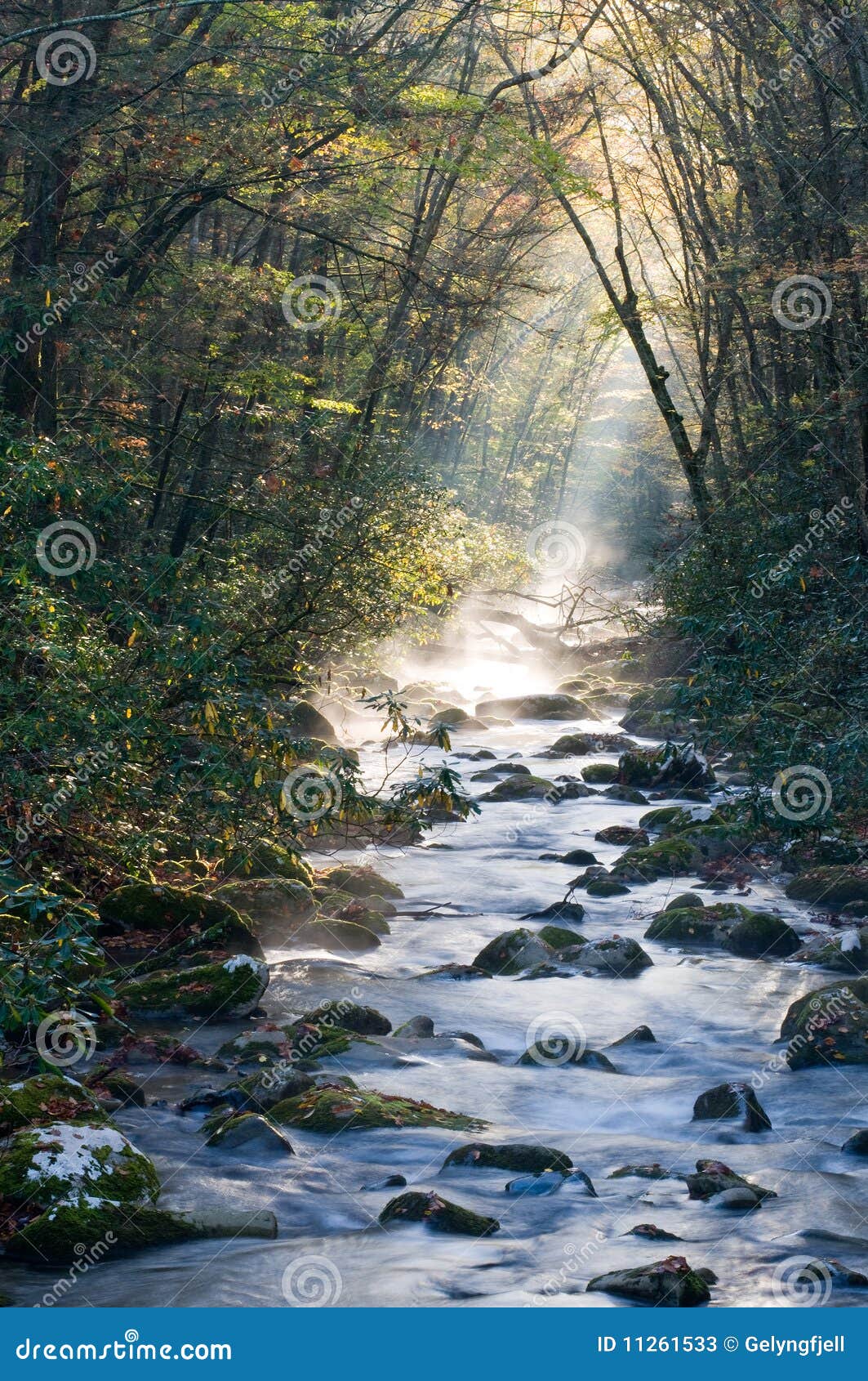 smoky mountains river on cold morning