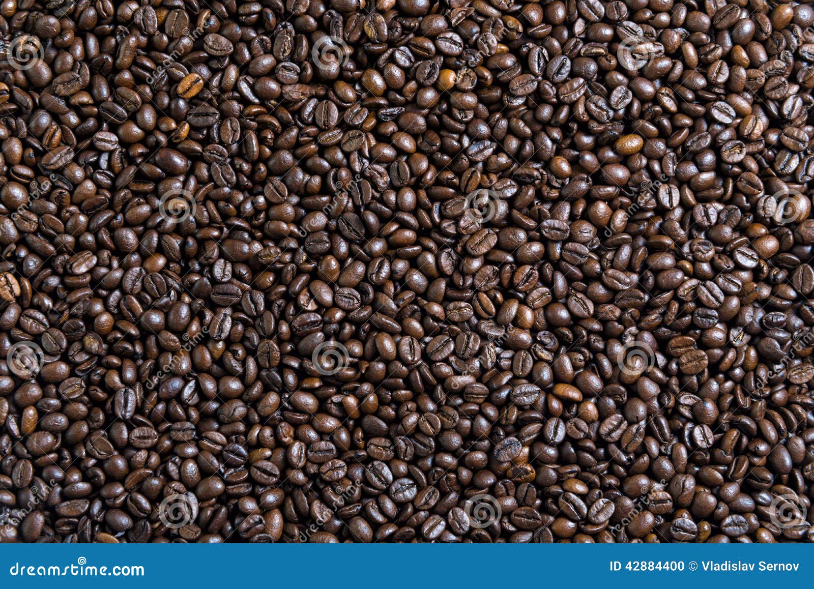 Smooth Surface of the Coffee Beans Stock Photo Image of closeup