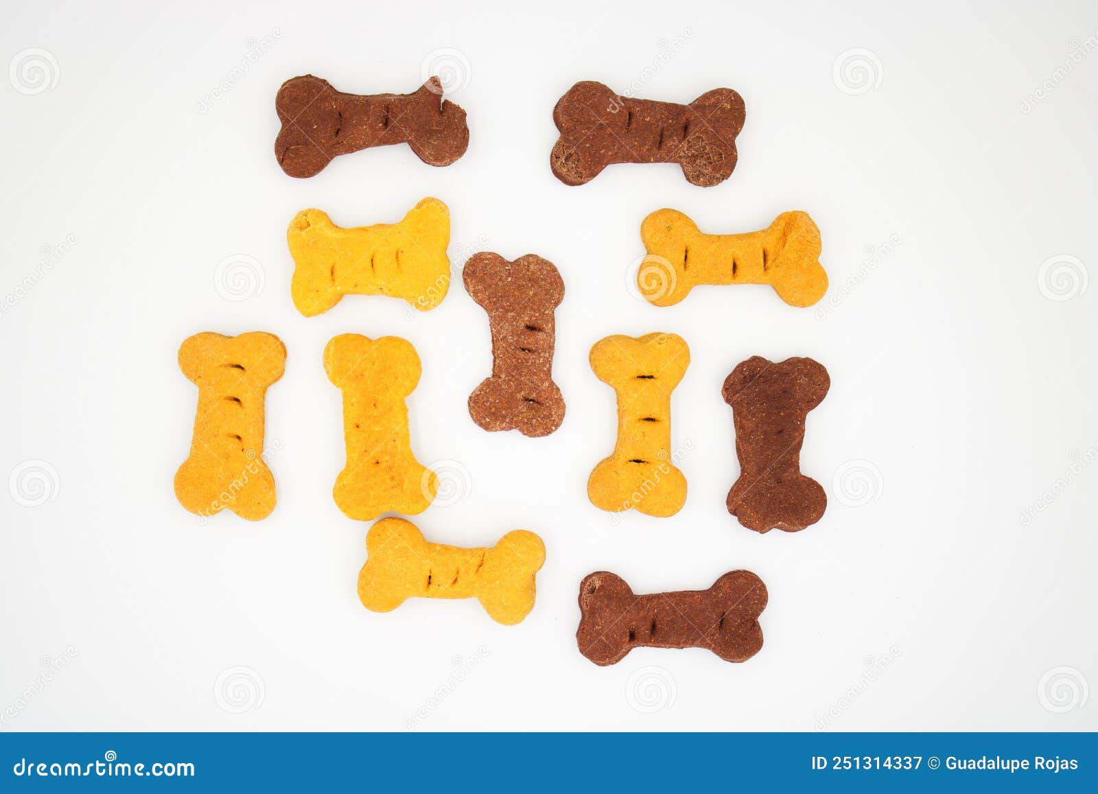 snack, or cookies or prize to give the dog, to reward good behavior