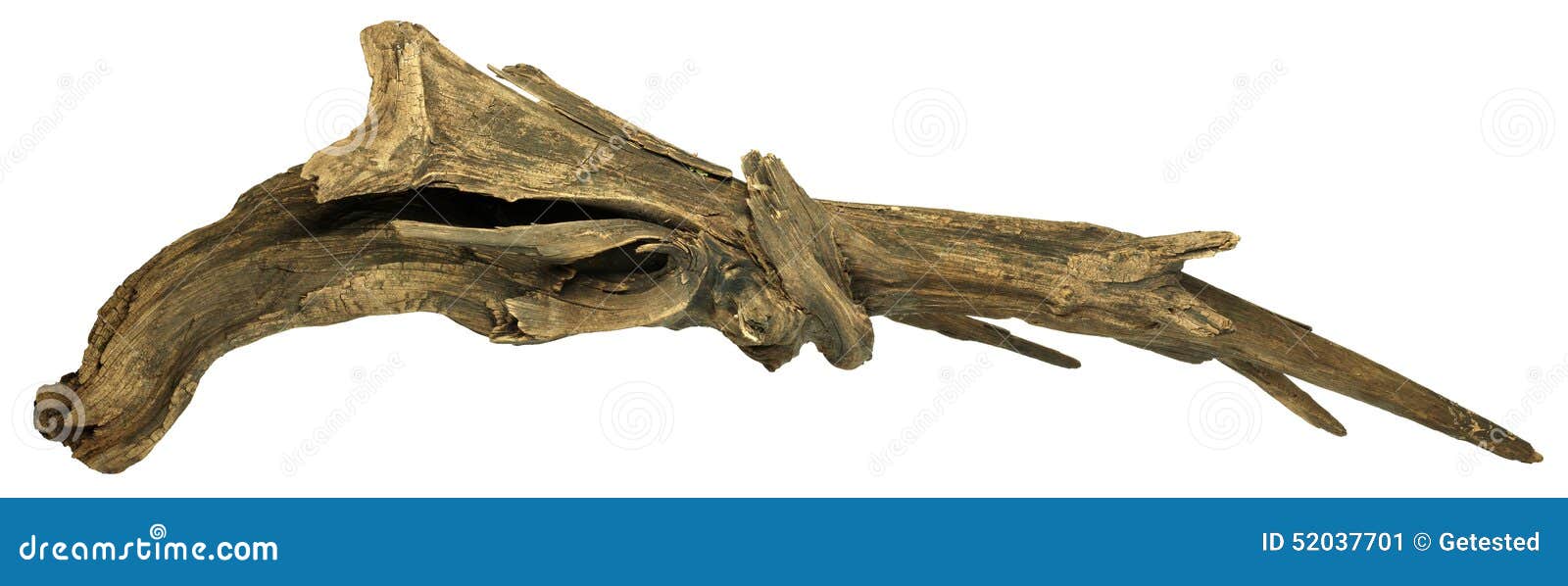 Snag with an Interesting Shape Stock Image Image of used, stump 52037701