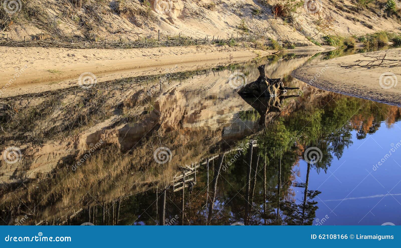 Snag in the river stock photo. Image of sandy, latvia 62108166
