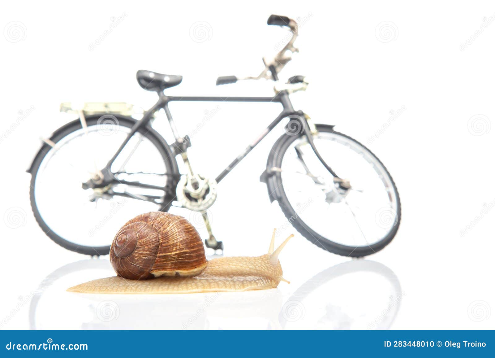 Snail and Bicycle Model on a White Background. the Speed of Movement of