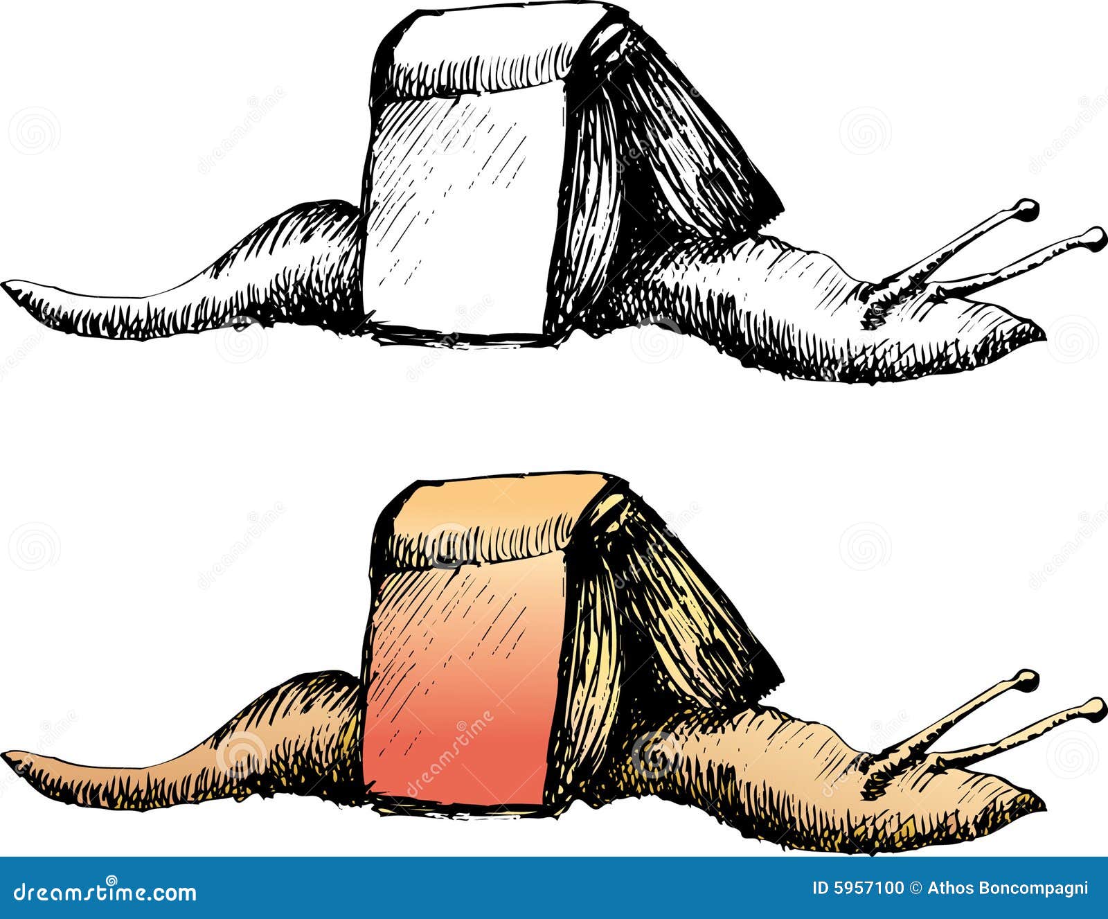 Snail book stock vector. Illustration of patience, snail 5957100