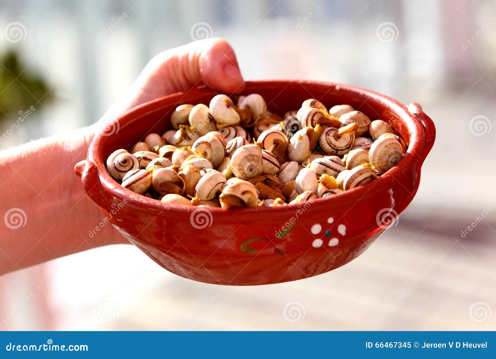 Snail dish stock image. Image of hand, holding, beverage 66467345