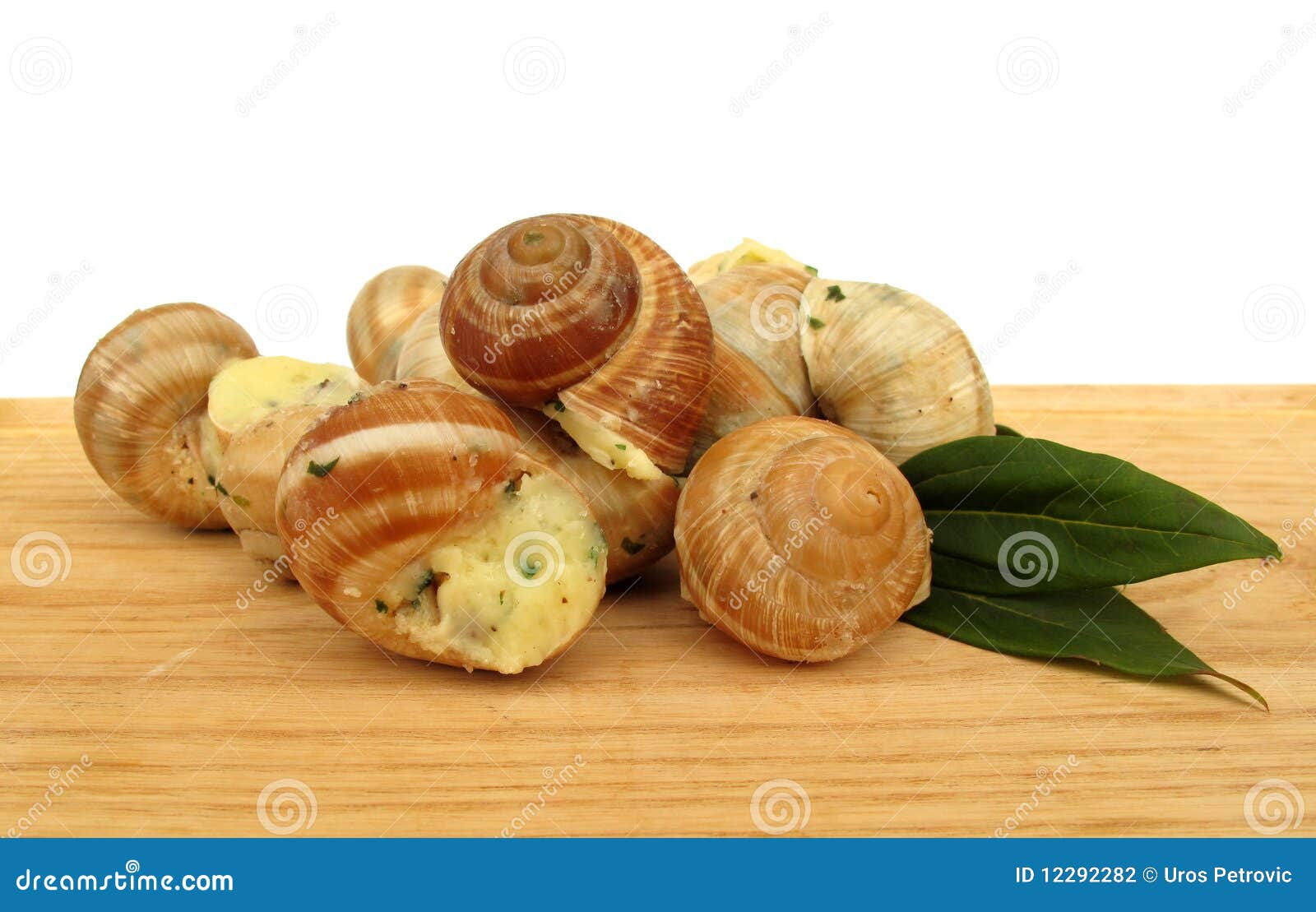 Snail Escargot Prepared As Food Stock Photo Image of brown, protein