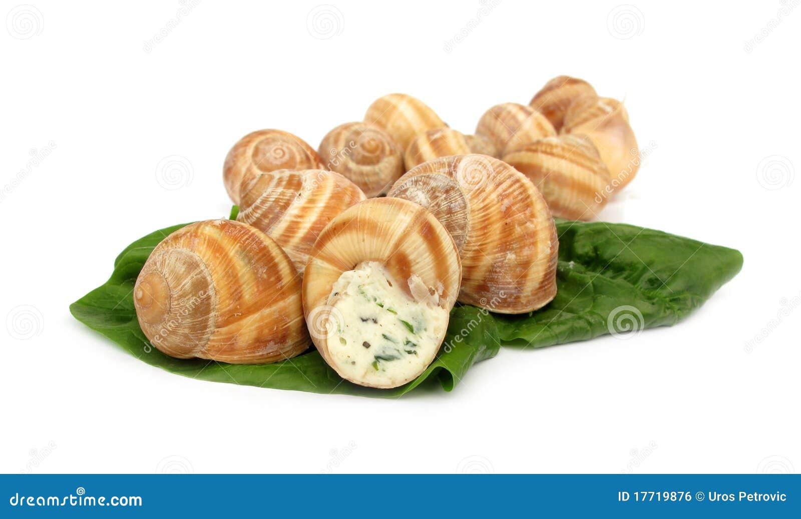 Snail Escargot Prepared As Food Stock Photo Image of brown, garden