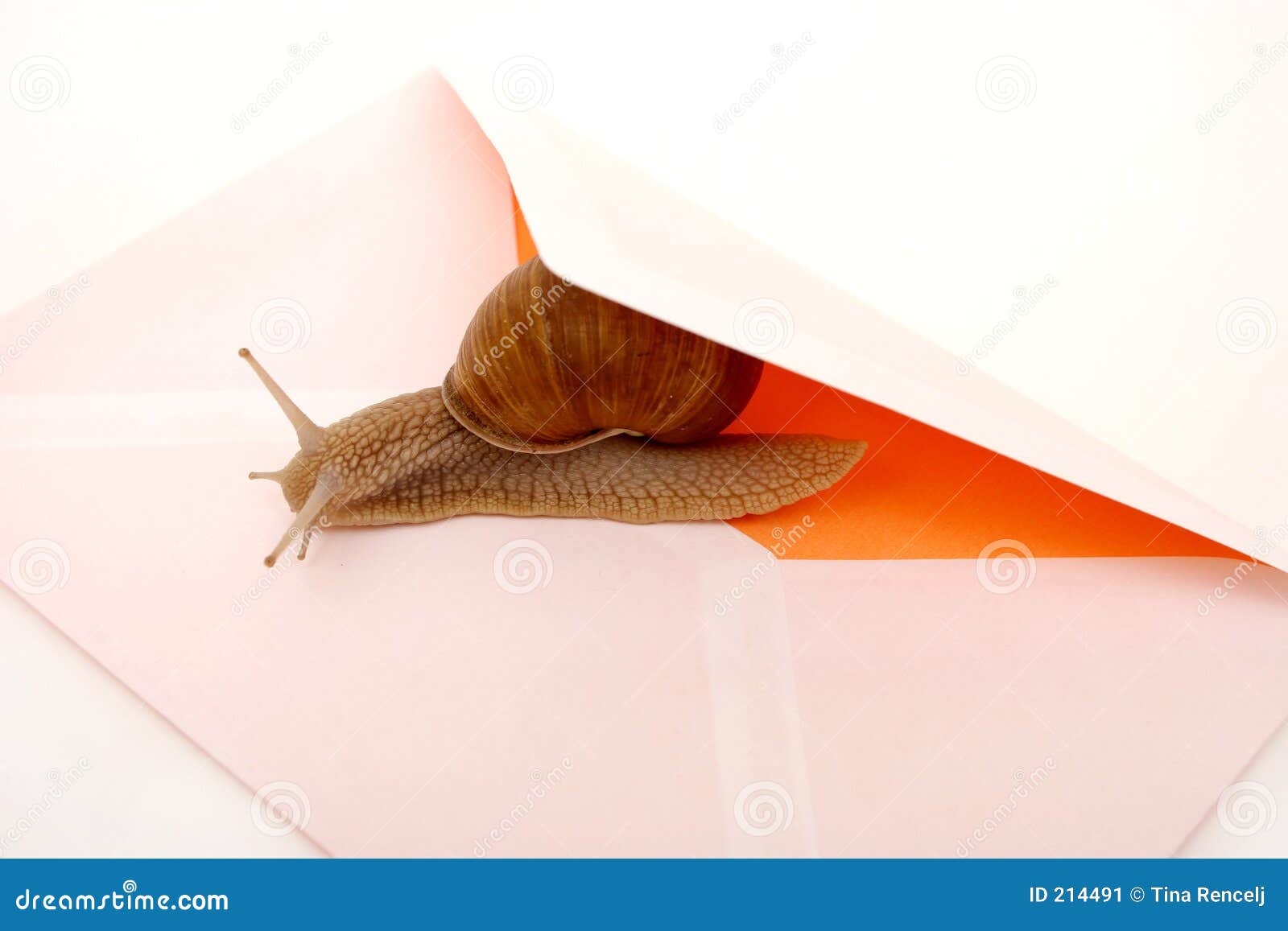 Snail Mail Stock Image. Image Of Envelope, Communicate - 214491