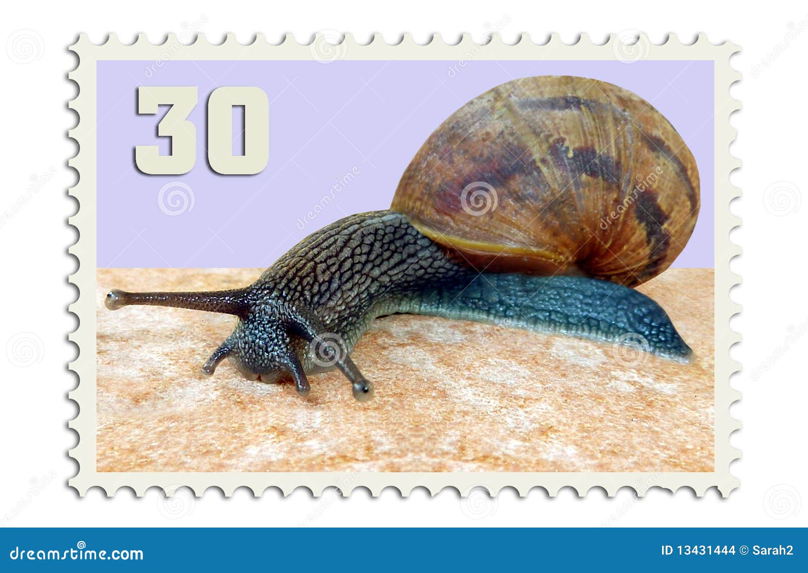 Snail mail stamp editorial stock image. Image of shell 13431444