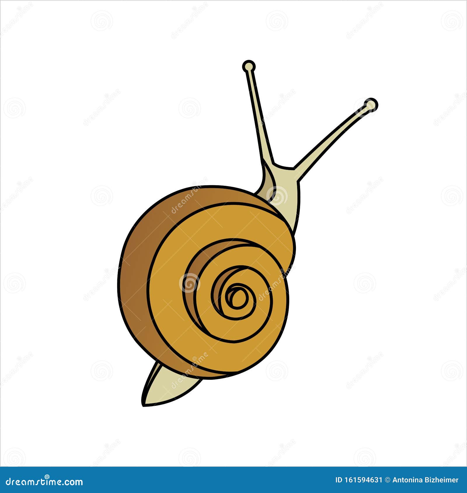 Snail, Top View. Symbol of Slowness Stock Illustration Illustration
