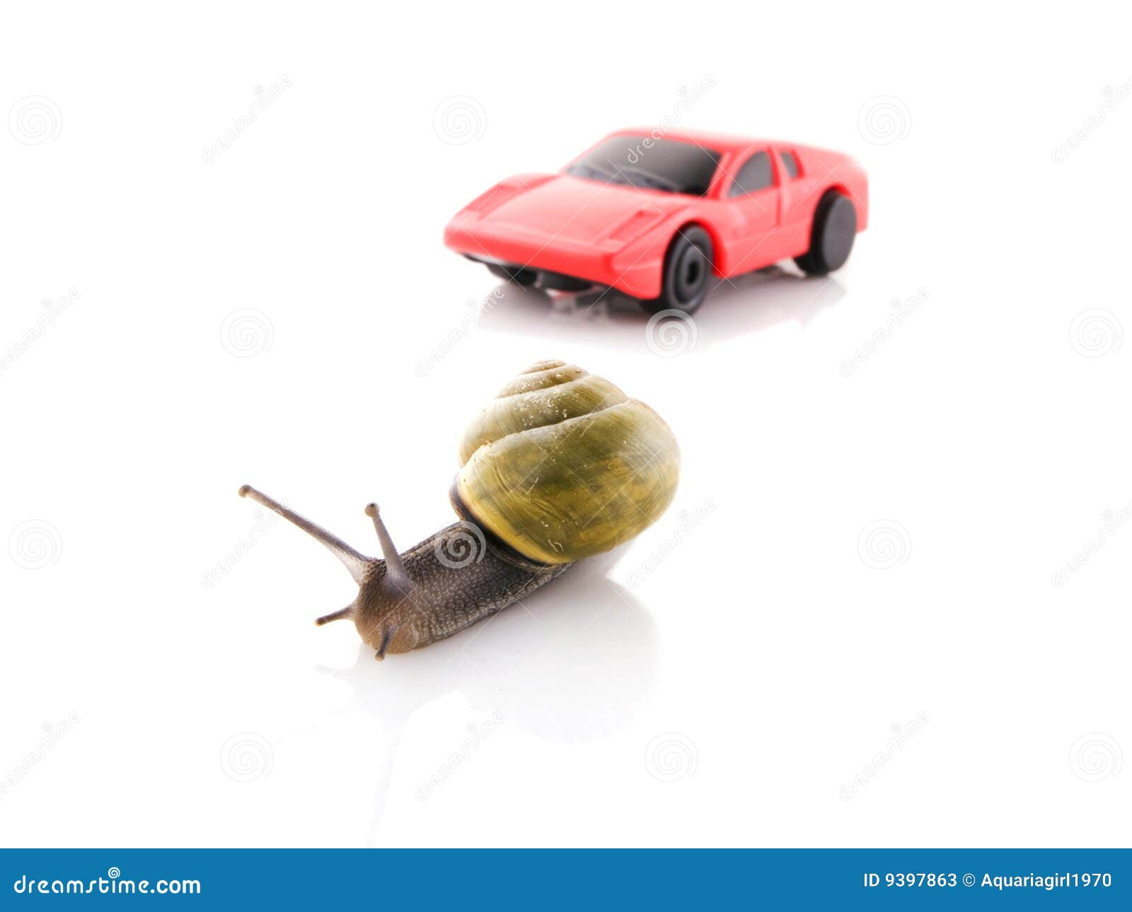 Snail versus sports car stock image. Image of animal, creature 9397863