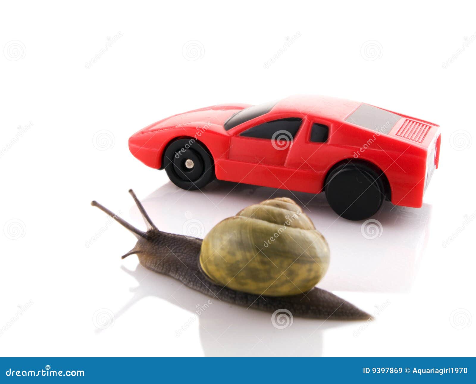 Snail versus sports car stock image. Image of soft, brown 9397869