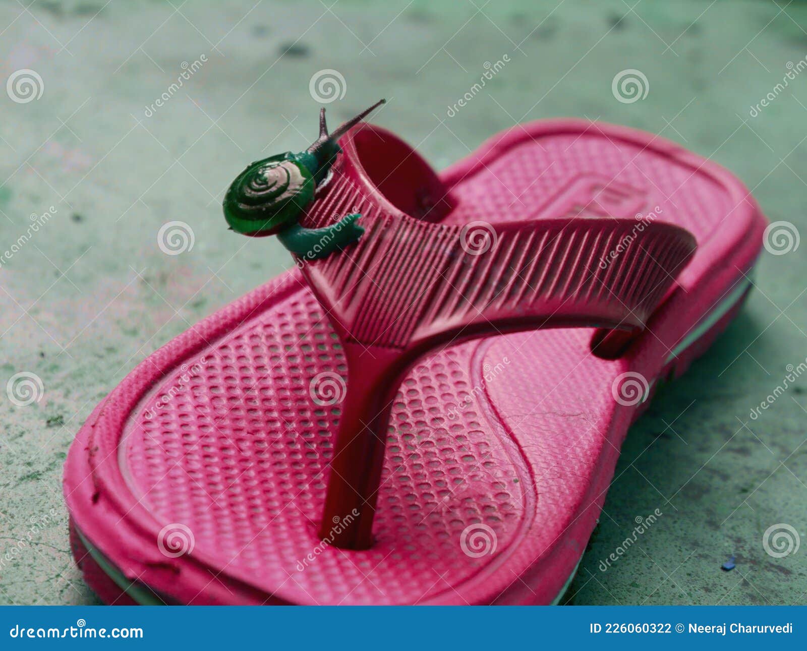 Snail Water Insect Climbing on Feet Sleeper Stock Photo - Image of ...