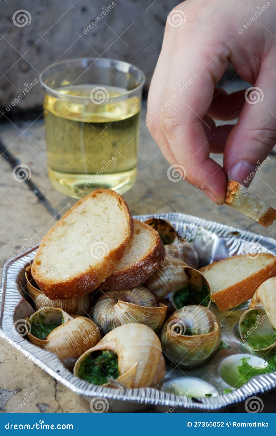 Snails As Gourmet Food with Bread Stock Photo Image of france, garlic