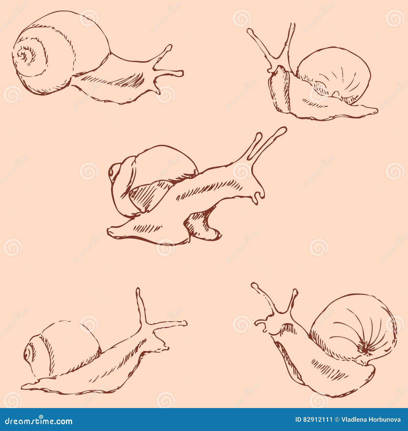 Snails. Pencil Sketch By Hand Cartoon Vector 80842929