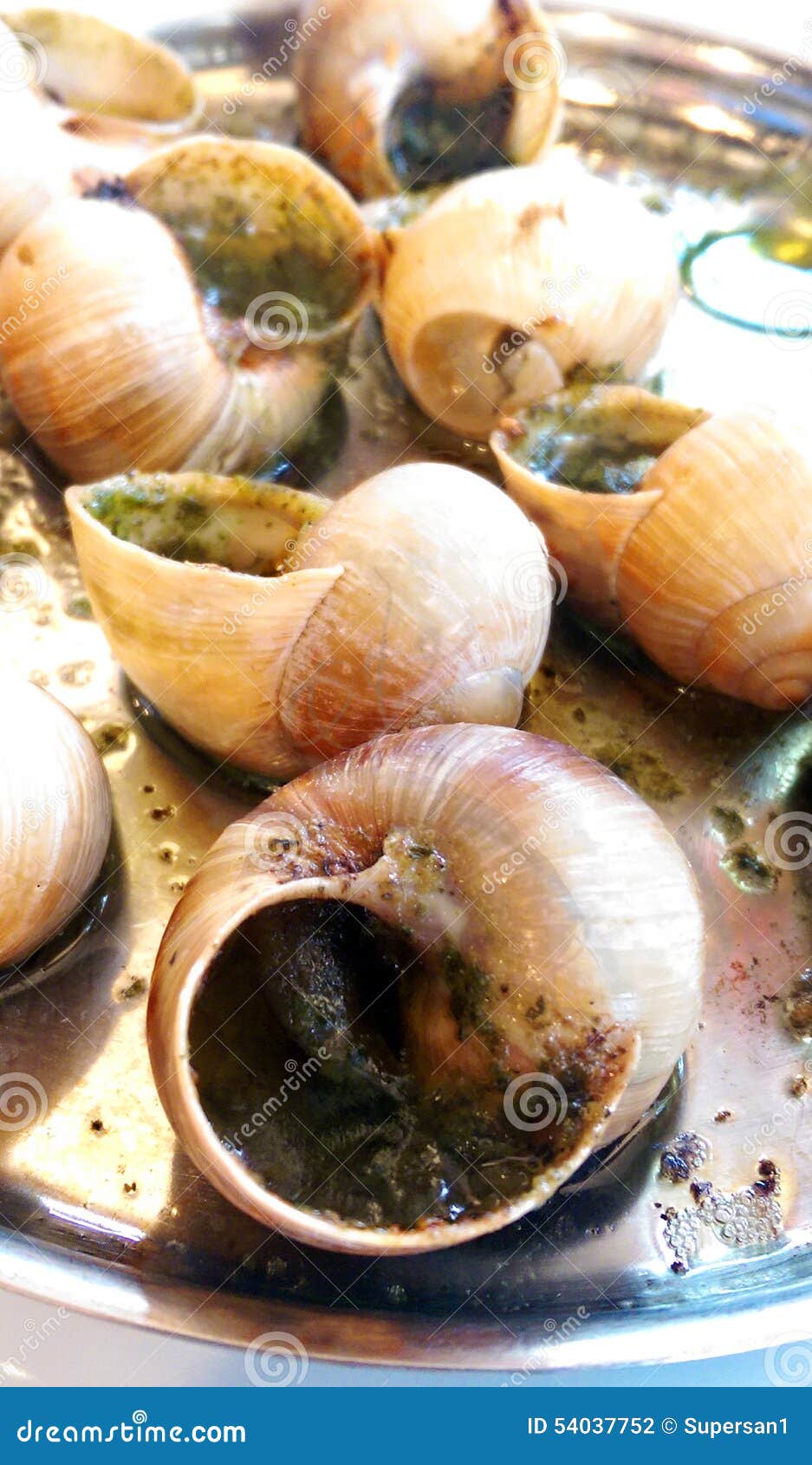 Snails and Seafood Served on a Plate Stock Photo Image of escargot