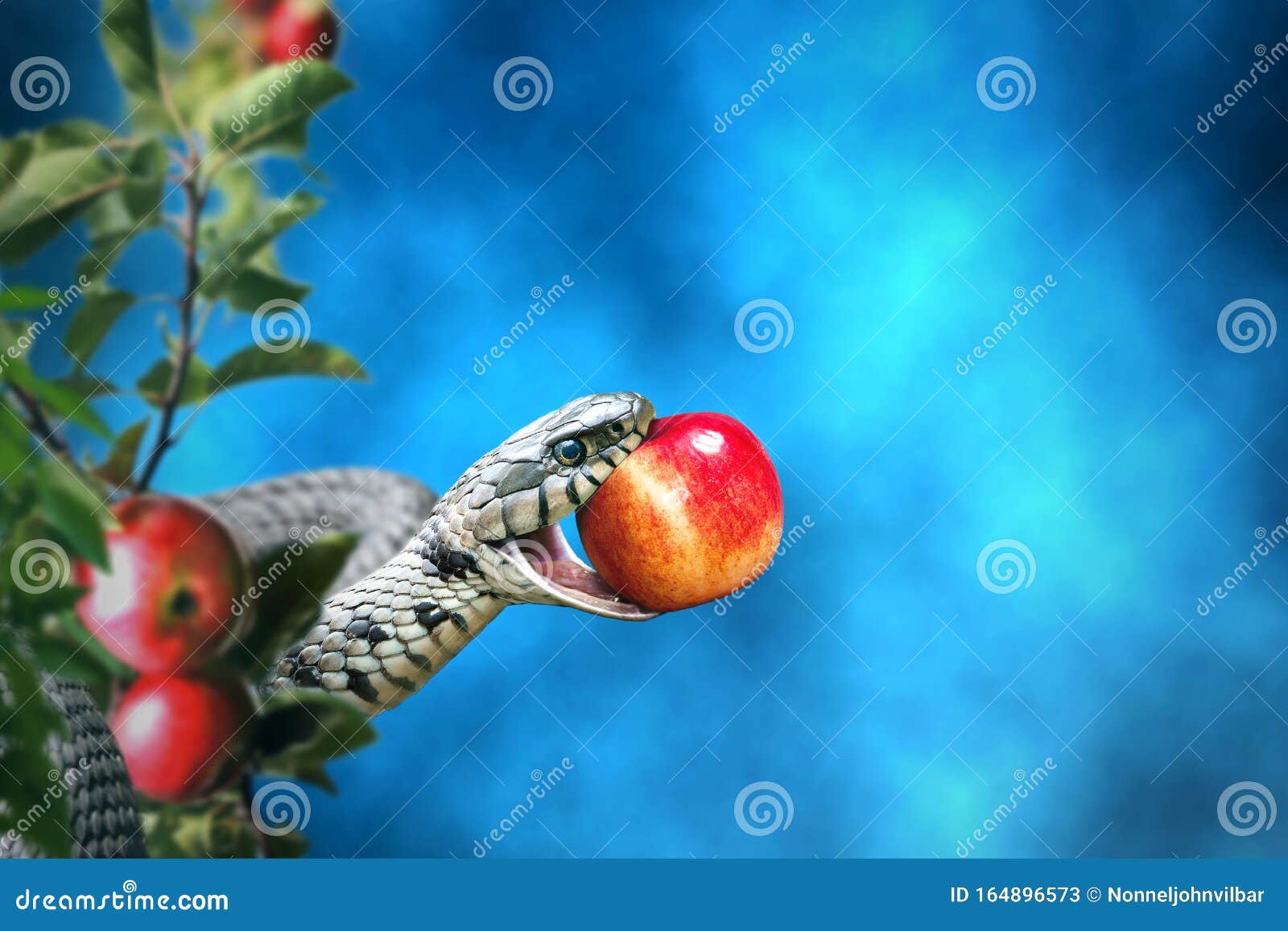 Apple Fruit Top View Green Isolated On White Stock Photography