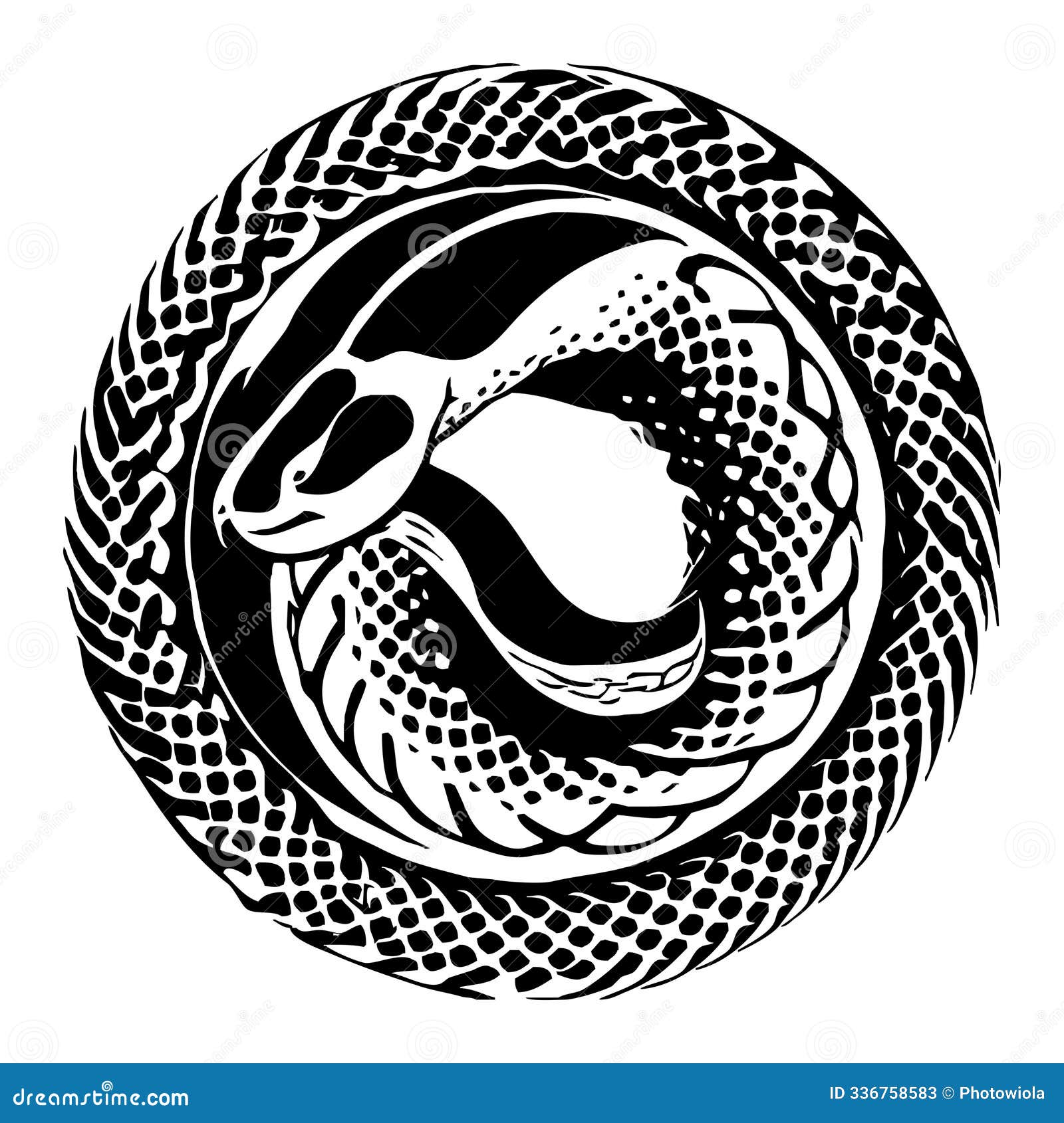 Snake Black and White Illustration Stock Illustration Illustration