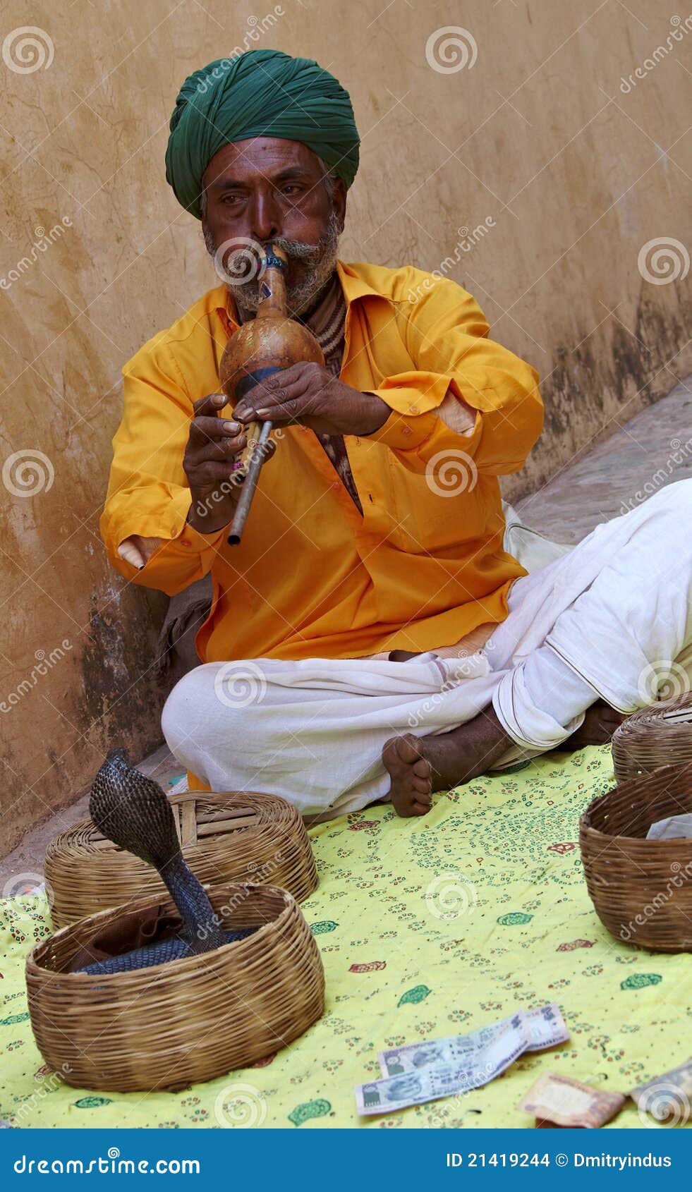 snake charmer. india. rajasthan.