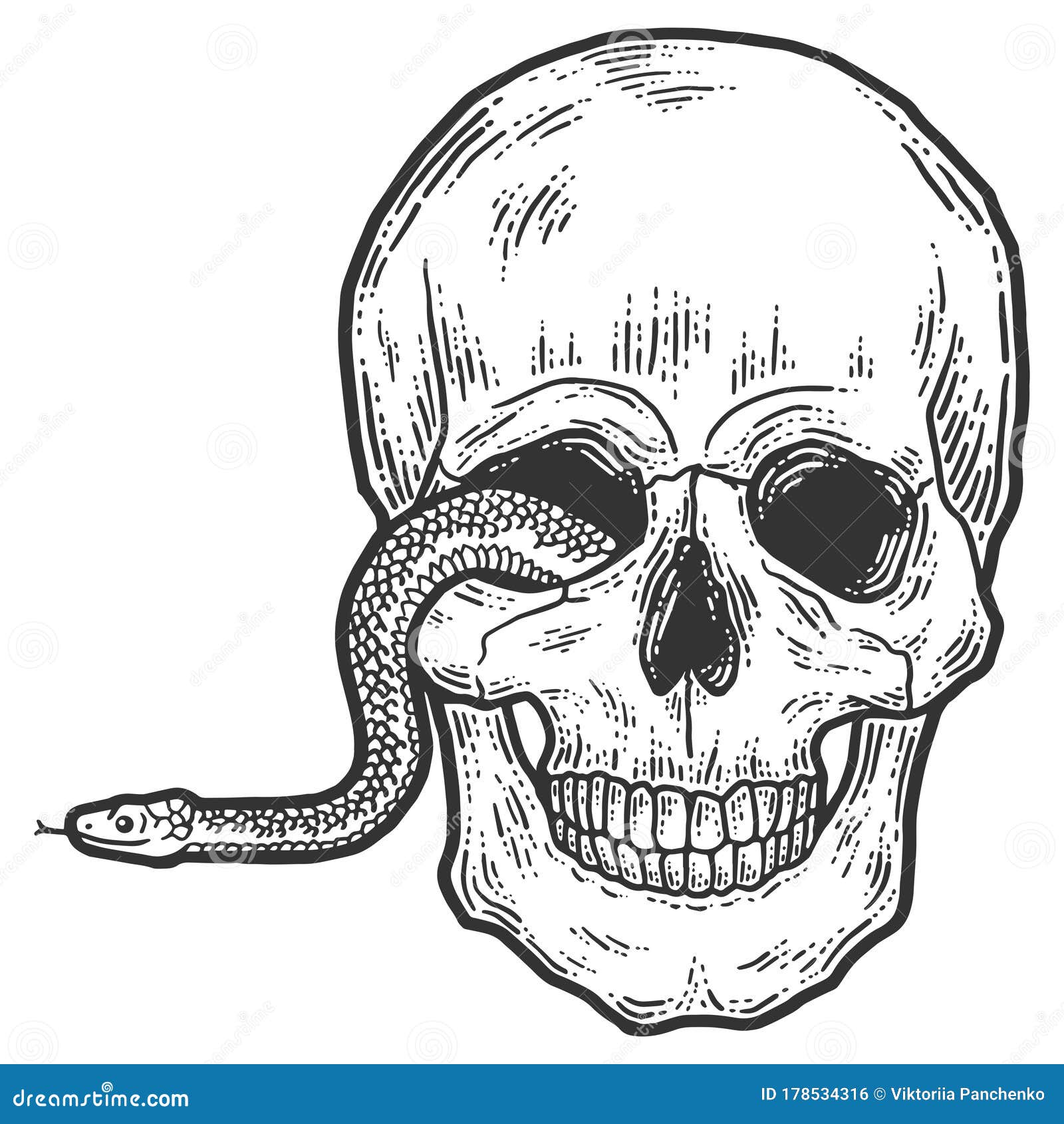 Collection 30+ Stock Images skull with snake coming out of eye Updated Collection 30+ Stock Images skull with snake coming out of eye Updated
